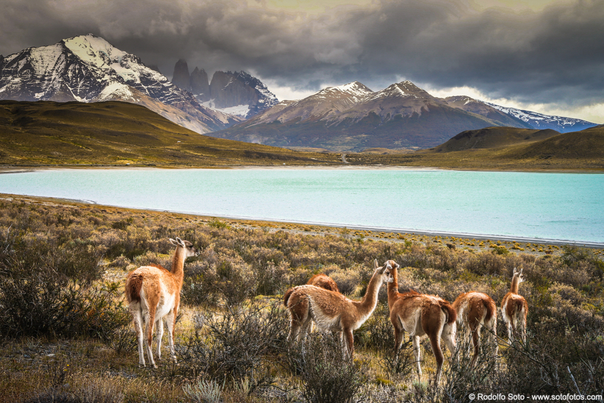 Patagonia National Park