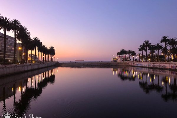 Viña del Mar - 66